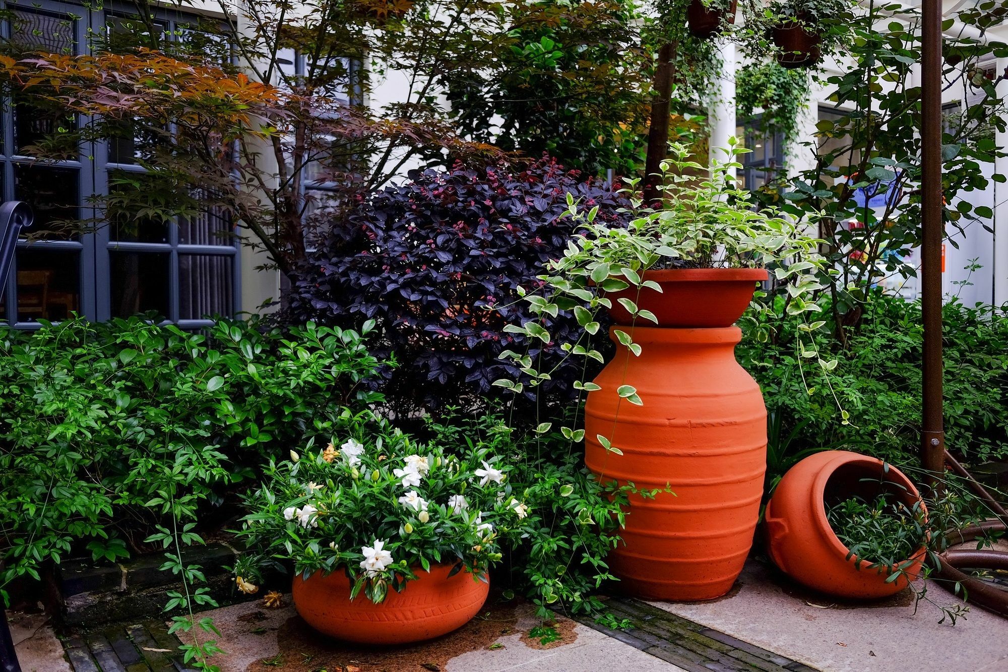 Suzhou Homa Garden Hotel Dış mekan fotoğraf